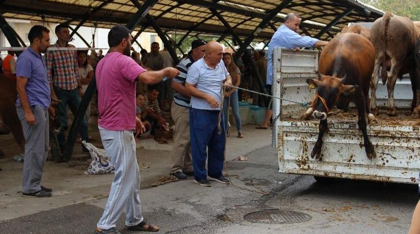 Kurbanda Kurallara Uymayanlara Ceza Yağacak