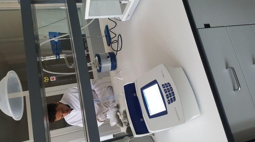 Bayburt &Uuml;niversitesi Bayburt Ve Y&ouml;resinde Kullanılan Alternatif Tedavi Yollarını Aydınlatıyor