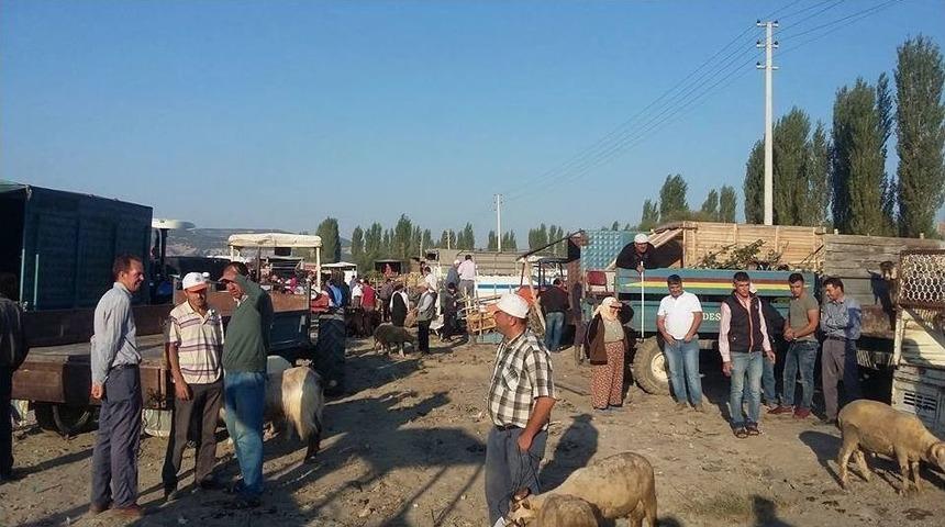 Selendi&rsquo;de Kurbanlıklar Pazardaki Yerini Aldı