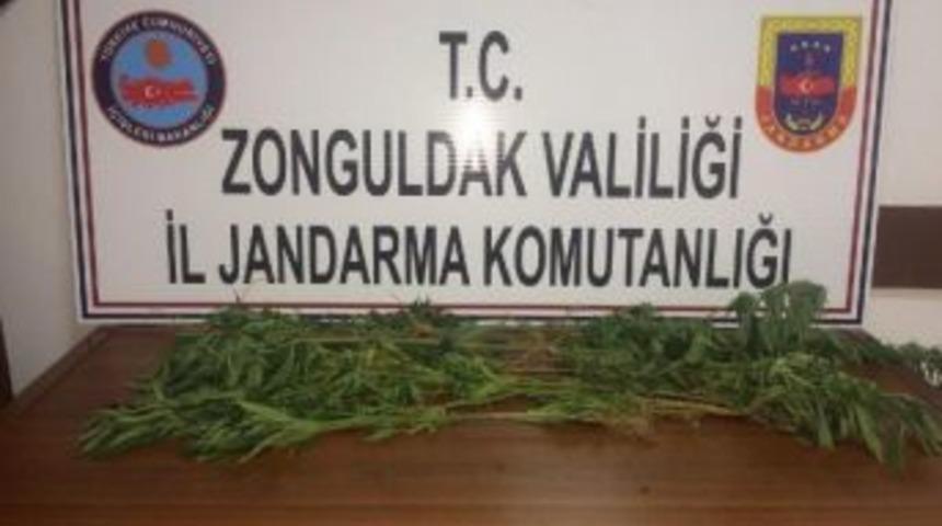 Zonguldak'ta Uyuşturucu Operasyonları: 3 G&ouml;zaltı
