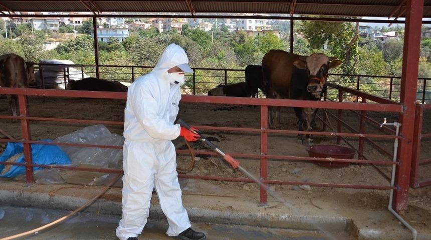 Kurban Pazarları İla&ccedil;lanıyor