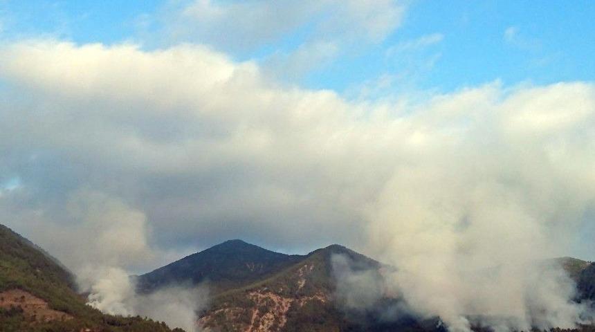Ter&ouml;ristler 30 Hektarlık Ormana Zarar Verdi