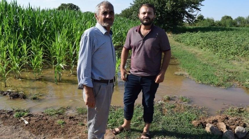 Tarlalarını Su Basan &Ccedil;ift&ccedil;iler Yetkililerden Yardım İstedi