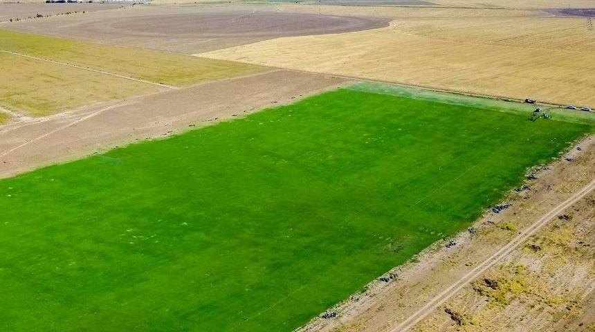 B&uuml;y&uuml;kşehir Belediyesi Hazır &Ccedil;im &Uuml;retti