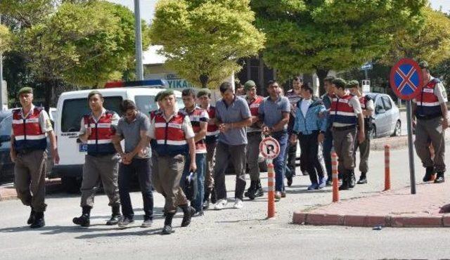 Cezaevinden Izinli Çıkıp Büyükbaş Hayvan Çaldılar