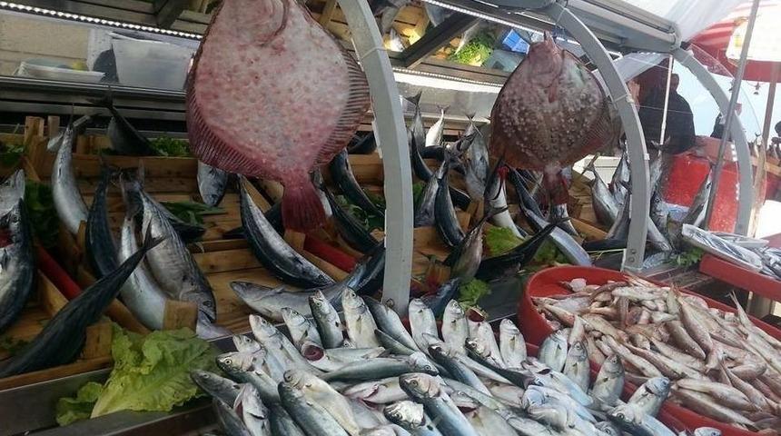 Balık&ccedil;ılar Palamuttan Umutlu