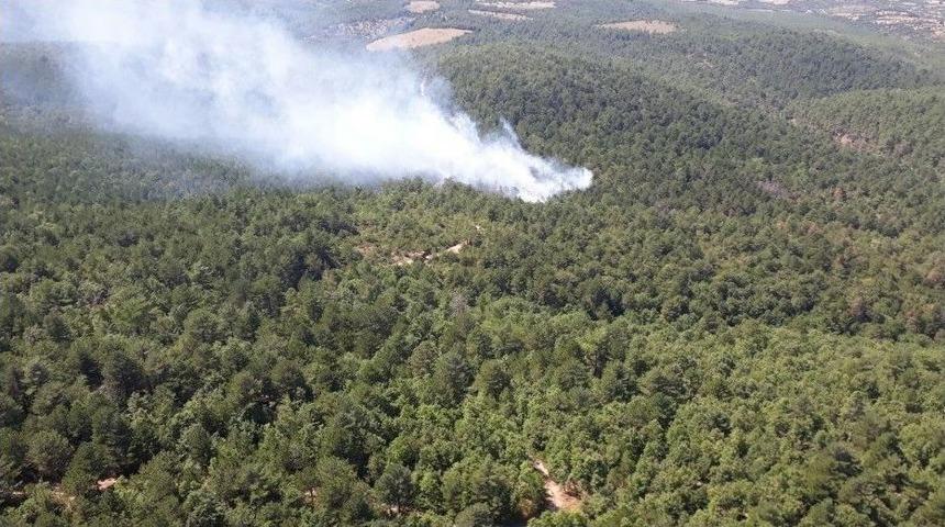 &Ccedil;anakkale&rsquo;de Orman Yangını