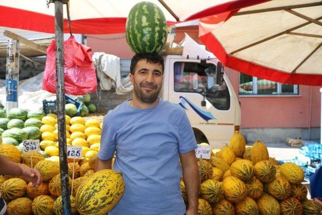 Kavun Satışları, Pazarcıyı Tatmin Etmedi