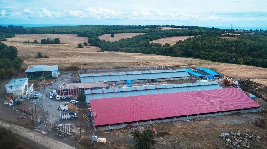 Atakum’da ‘bayram’ Hazırlığı