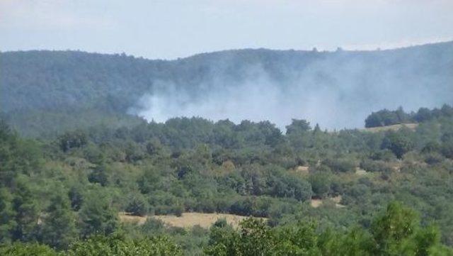 Kazdağları'nda Korkutan Yangın