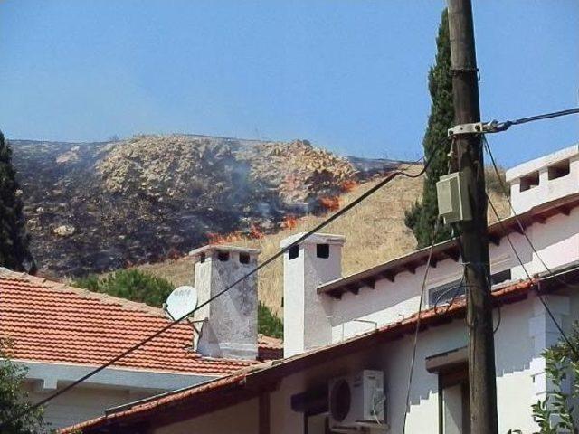 Foça'da Makilik Ve Otluk Alanda Yangın Korkuttu