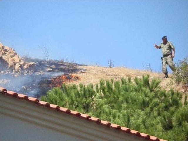 Foça'da Makilik Ve Otluk Alanda Yangın Korkuttu