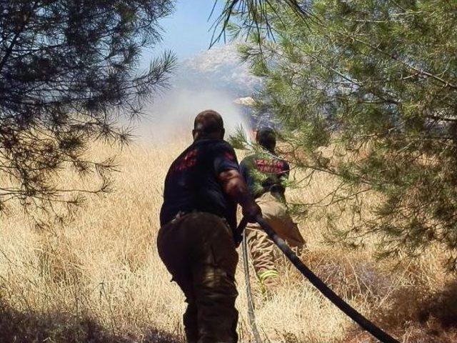 Foça'da Makilik Ve Otluk Alanda Yangın Korkuttu