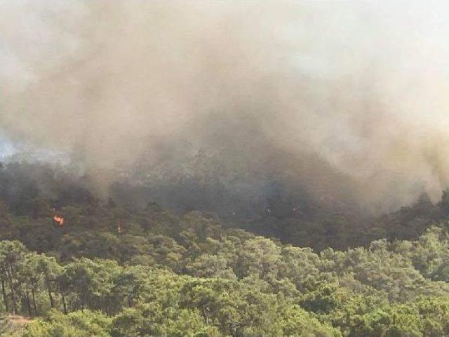 Fethiye'de Orman Yangını (1)