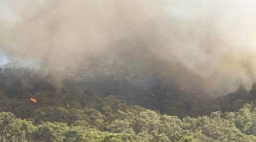 Fethiye'de Orman Yangını (1)