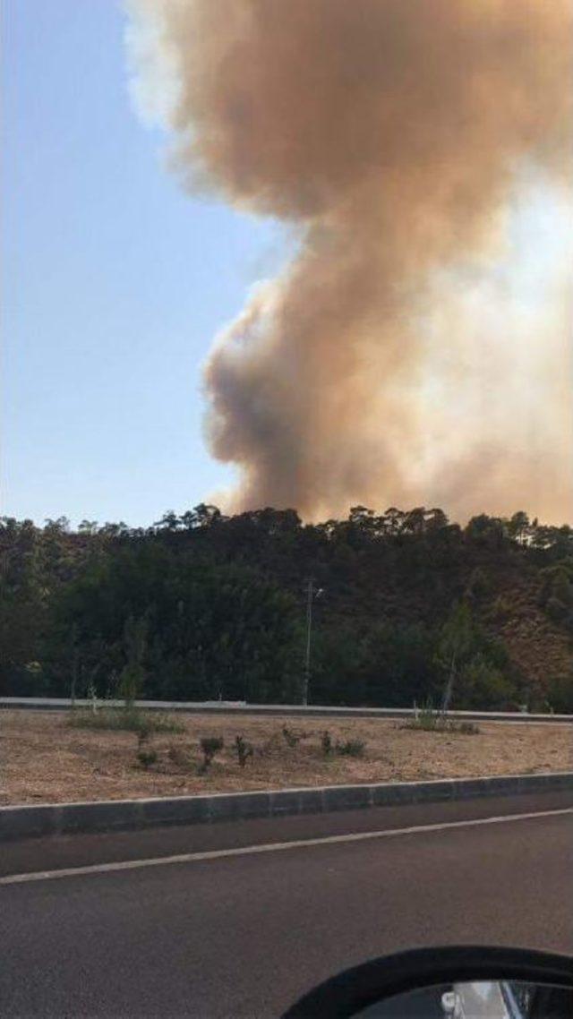 Fethiye'de Orman Yangını (1)