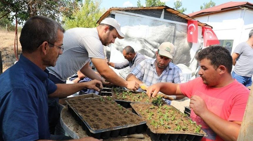 &Ccedil;i&ccedil;ekleri &rsquo;şaşırtma&rsquo; Y&ouml;ntemiyle Yetiştiriyorlar