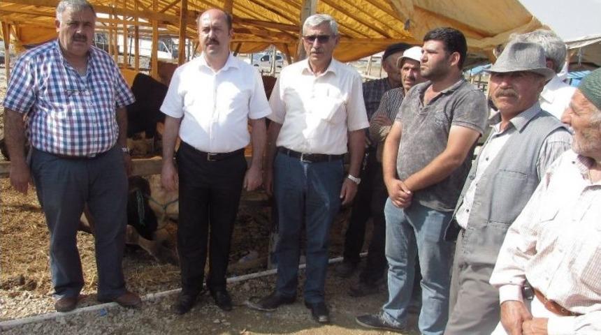 &Ccedil;orum Hayvan Pazarı&rsquo;nda Kurbanlık Satışları Başlıyor