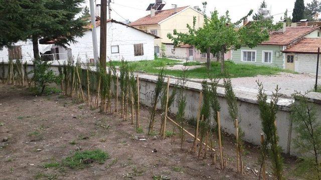 Kütahya Orman Bölge Müdürlüğünün ’okullar Hayat Olsun’ Projesi Çalışmaları