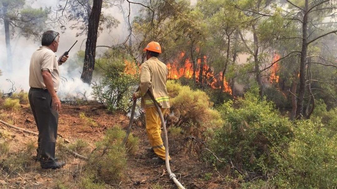 Fethiye&rsquo;de Orman Yangını