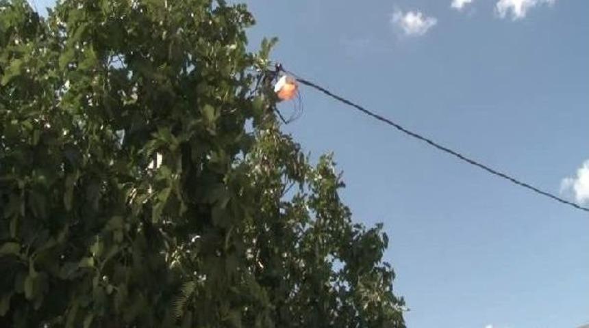 Bu Sokakta Aydınlatma Lambaları 15 G&uuml;nd&uuml;r Gece G&uuml;nd&uuml;z Yanıyor