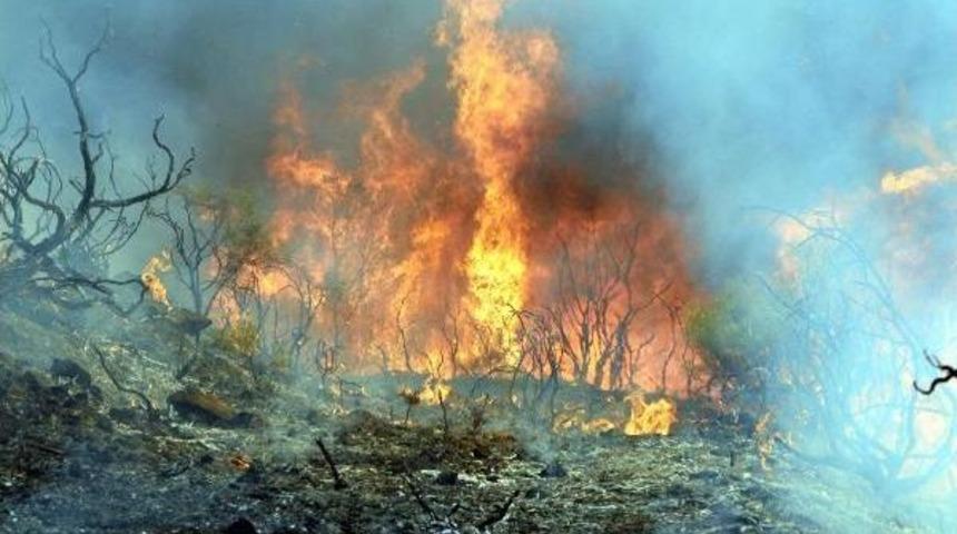 Fethiye'de Orman Yangını (2)- Yeniden