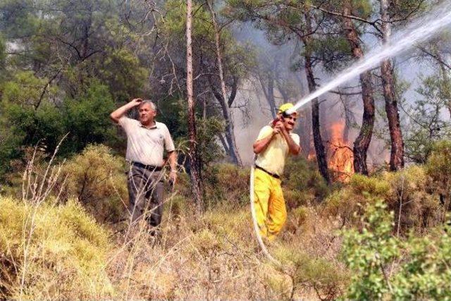 Fethiye'de Orman Yangını (2)- Yeniden