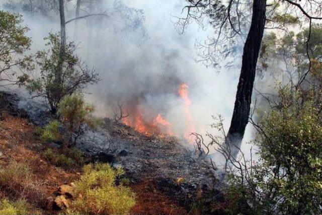 Fethiye'de Orman Yangını (2)- Yeniden