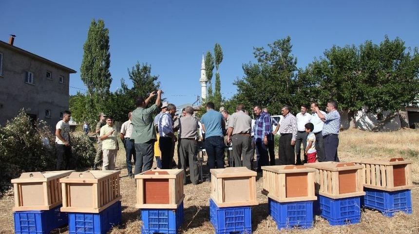 Kınalı Keklikler Doğaya Salındı