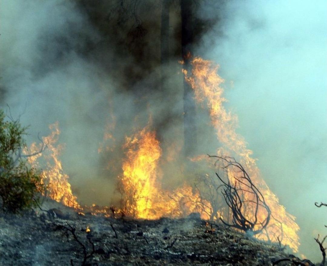 Fethiye&rsquo;deki Orman Yangını Kontrol Altına Alındı