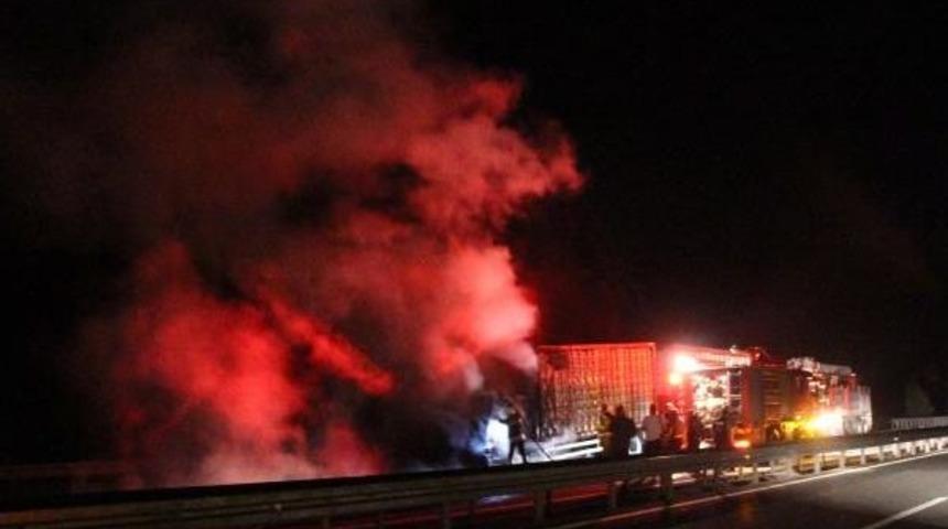 Bolu'da Yanan Kamyondaki Tavuklar Telef Oldu