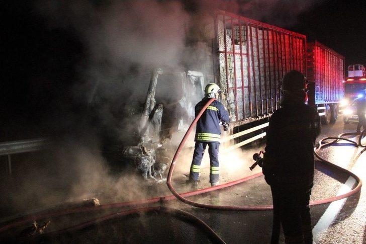 Kamyonda Çıkan Yangında Tavuklar Telef Oldu G1