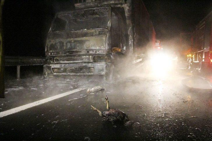 Kamyonda Çıkan Yangında Tavuklar Telef Oldu G5