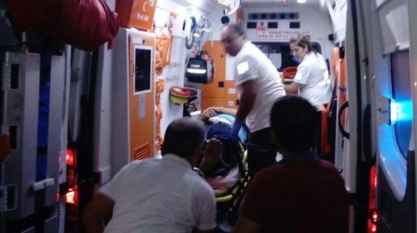 Kopan Dorseden Kaçarken Ağaca Çarptı: 1 Yaralı