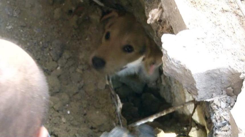 (&ouml;zel Haber) İnşaat İş&ccedil;ilerinin Dikkati Hayat Kurtardı