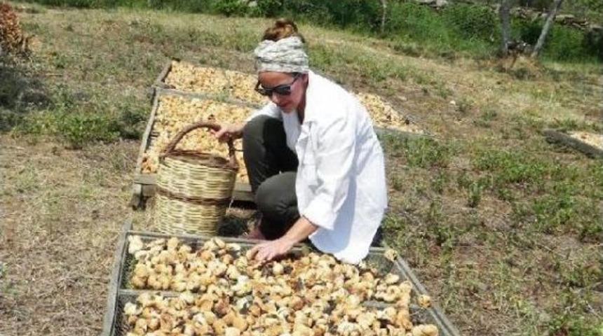 İstanbullu Mimar Ke&ccedil;i &Ccedil;iftliği Kurarak Markalaştı