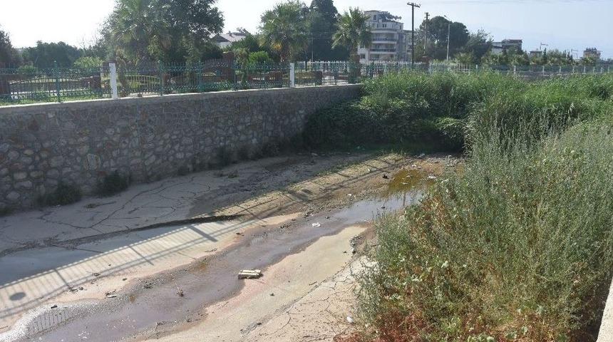 Nazilli&rsquo;de Derek&ouml;y &Ccedil;ayı Yatağı Temizlendi