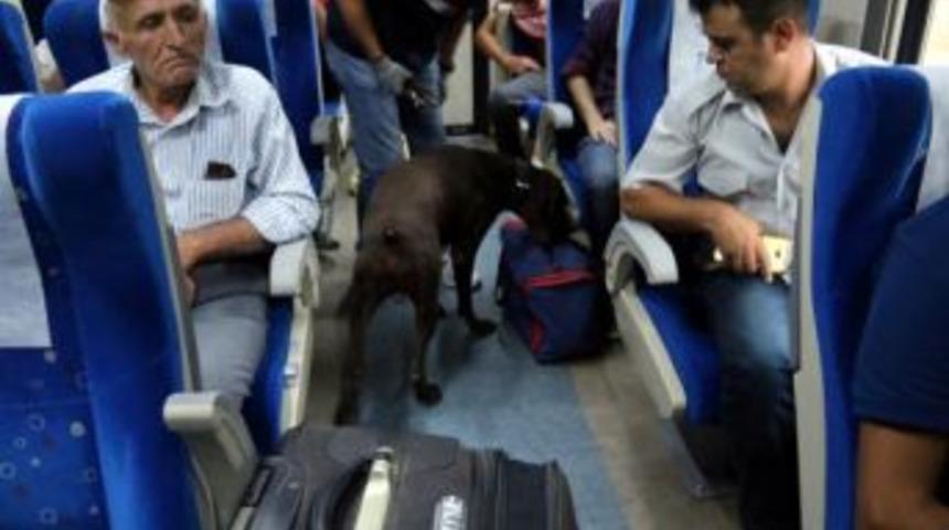 Trende K&ouml;pekli Arama