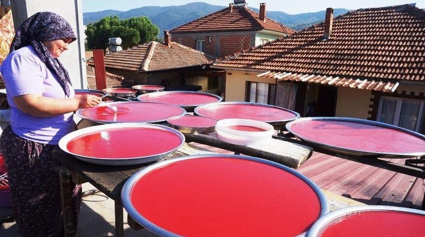 Sarıg&ouml;ll&uuml; Kadınların Sal&ccedil;a Telaşı