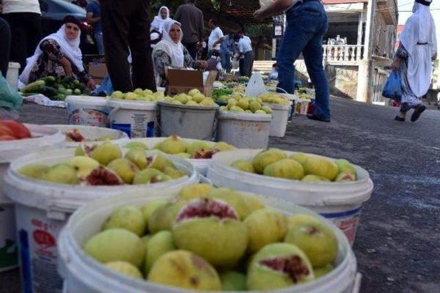 Derik'in 9 Çeşit Inciri Tezgahlarda Yerini Aldı