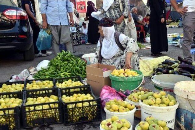 Derik'in 9 Çeşit Inciri Tezgahlarda Yerini Aldı