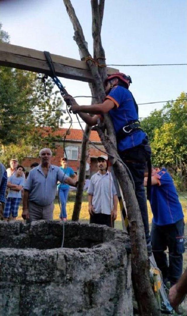 Bartın'da Kuyuya Düşen Inek Kurtarıldı