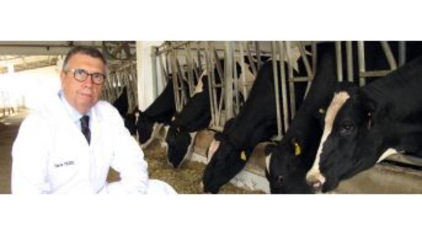 &ldquo;kurban Bayramı&rsquo;nda Dişi Hayvan Kesmeyin"