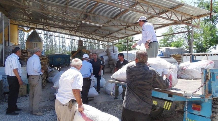 Hisarcıkta Haşhaş Kapsülü Alımlarına Başlandı