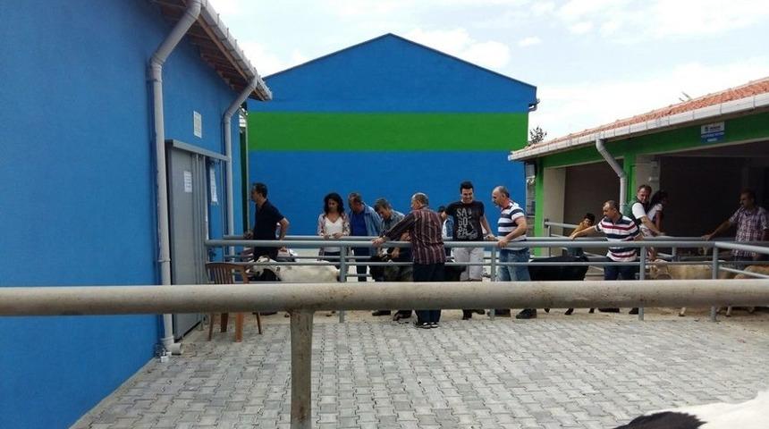 Tekirdağ&rsquo;ın Modern Mezbahaları Kurban Bayramı&rsquo;na Hazır