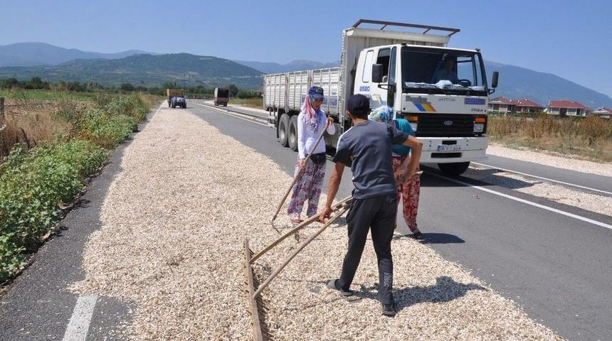 Ay&ccedil;ekirdeğini Kurutmak İ&ccedil;in &Ccedil;evre Yolunu Kapattılar