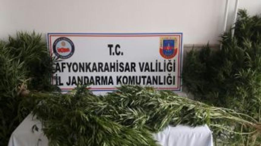 Kardeşliğin 10.yılı Park Afyon&rsquo;da Kutlanıyor