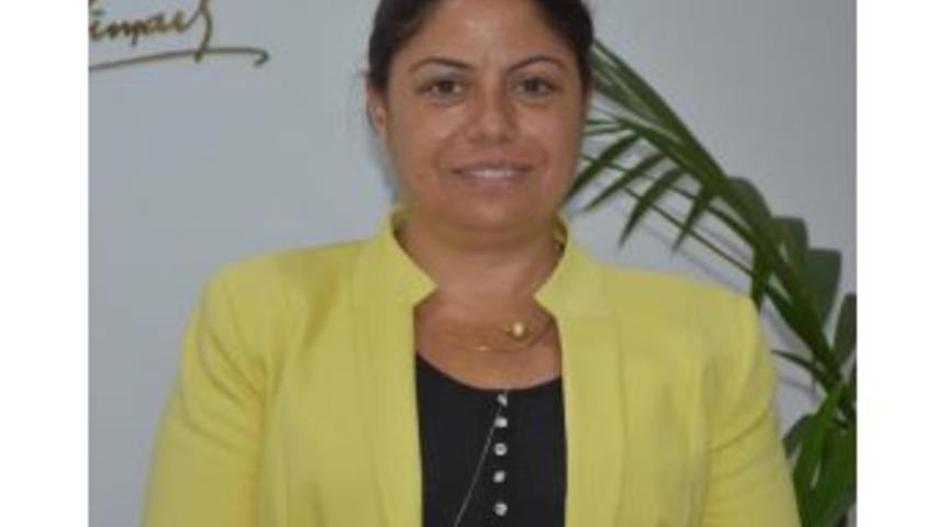 Chp'li Altıok'tan Khk Tepkisi