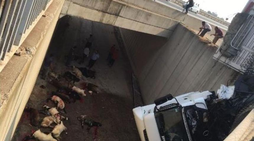 Kurbanlık Y&uuml;kl&uuml; Tır Devrildi