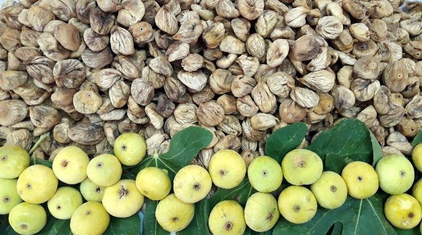 Kuru İncirin İhracat Yolculuğu 11 Ekim&rsquo;de Başlıyor